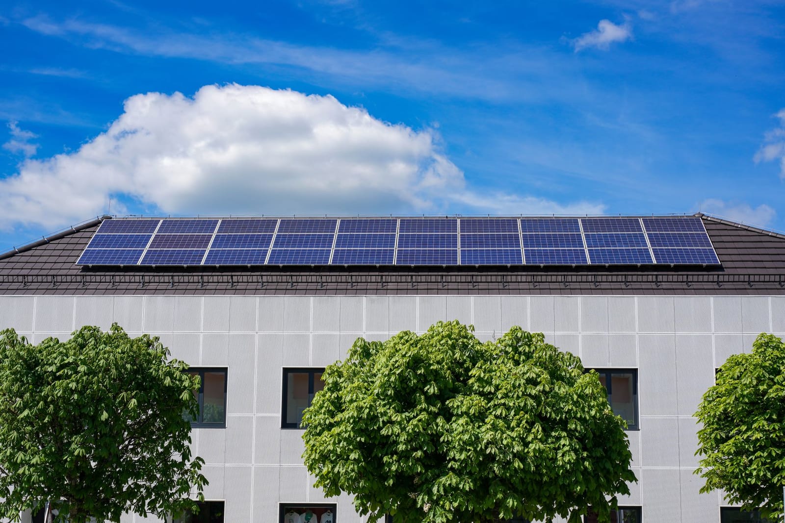 Business owner reviewing solar funding options against the numbers